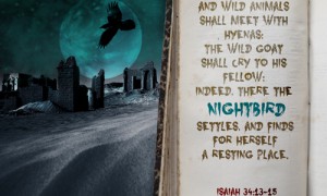 Nightbird Font